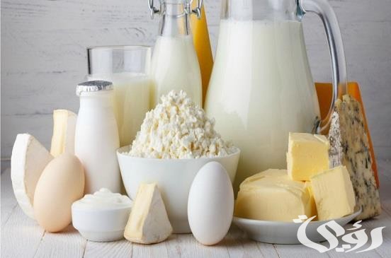 دراسة جدوى مشروع منتجات الألبان والسمن البلدي دراسة جدوى مشروع منتجات الألبان والسمن البلدي