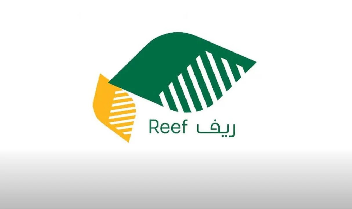 شروط الحصول على دعم صغار الصيادين؟.. “وزارة البيئة” تجيب