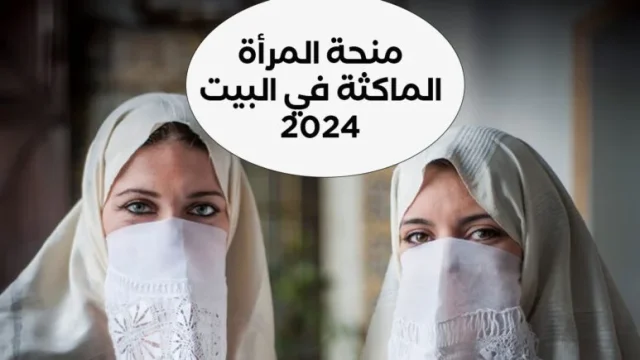 خطوات التقديم في منحة المرأة الماكثة بالبيت 2024 وأهم شروط القبول خطوات التقديم في منحة المرأة الماكثة بالبيت 2024 وأهم شروط القبول