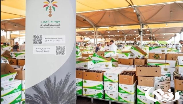 معرض المدينة للتمور 2024.. فرصة جديدة لتحفيز الاستثمار في القطاع