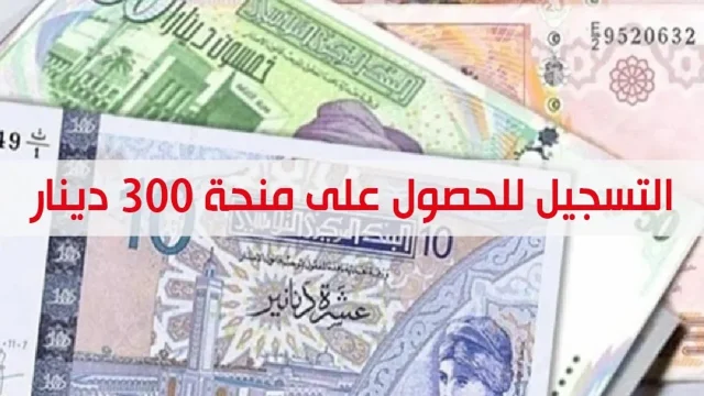 رابط سريع… التسجيل في منحة 300 دينار تونس 2024 والاستفادة من الدعم بالشروط الــ 5
