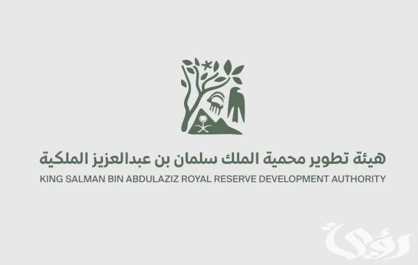 هيئة تطوير محمية الملك سلمان تكشف عن 4 أنواع من النسور تعيش داخل نطاقها لحمايتها من الأنقراض هيئة تطوير محمية الملك سلمان تكشف عن 4 أنواع من النسور تعيش داخل نطاقها لحمايتها من الأنقراض