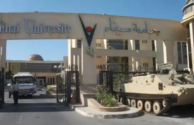 مصاريف و تنسيق كليات جامعة سيناء للعام الجديد 2026 7 تصميم بدون عنوان 4 1