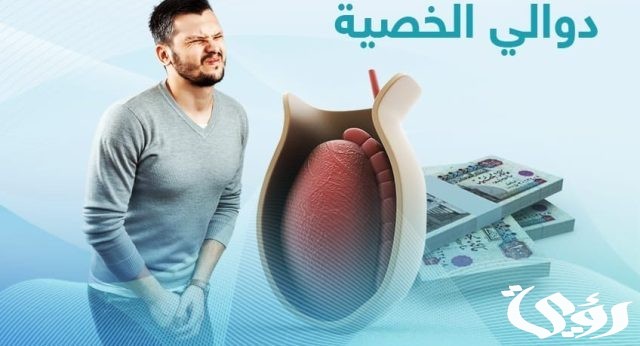 تكلفة عملية دوالي الخصية في مصر تكلفة عملية دوالي الخصية في مصر