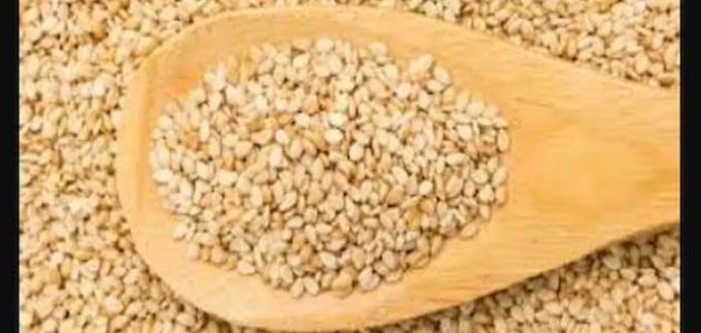 أسعار كيلو السمسم في مصر اليوم 2026 1 سعر كيلو السمسم في مصر اليوم 2025
