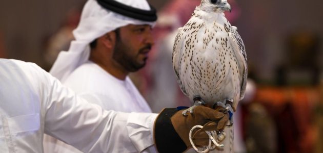"وزارة الثقافة" تحدد موعد معرض الصقور والصيد السعودي 1447 1 وش موعد معرض الصقور والصيد السعودي 1446؟ وزارة الثقافة توضح الأمر