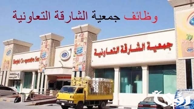 شروط التقديم على وظائف تعاونية الشارقة 2024