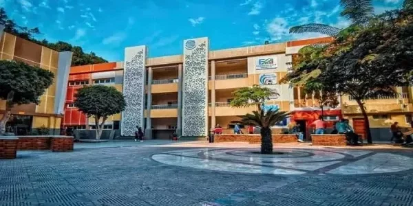 مصاريف و تنسيق كلية BIS بالزمالك وشروط التقديم 2026 1 مصاريف و تنسيق كلية BIS بالزمالك مع شروط التقديم 2024-2025
