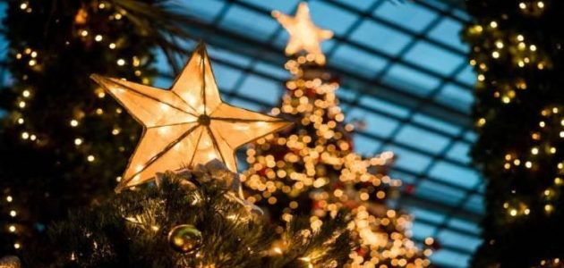 إجازة عيد الميلاد المجيد 2026 في مصر: كم يوم؟ ومتى تبدأ رسميًا؟ 1 إجازة عيد الميلاد المجيد كام يوم ؟ اكتشف دليل الإجازات الرسمية لعام 2025