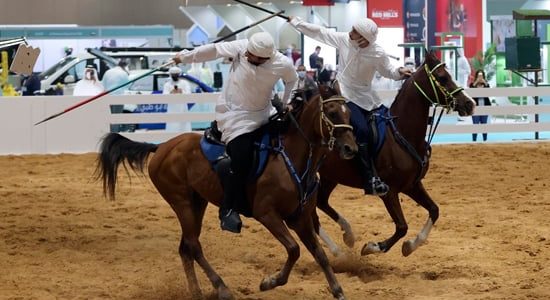 أمير الرياض يعلن حضور حفل ختام العرض الدولي لجمال الخيل العربية 1 «عاجل».. بجائزة تصل إلى 10 مليون ريال انطلاق العرض الدولي السابع لجَمال الخيل غدا الأربعاء