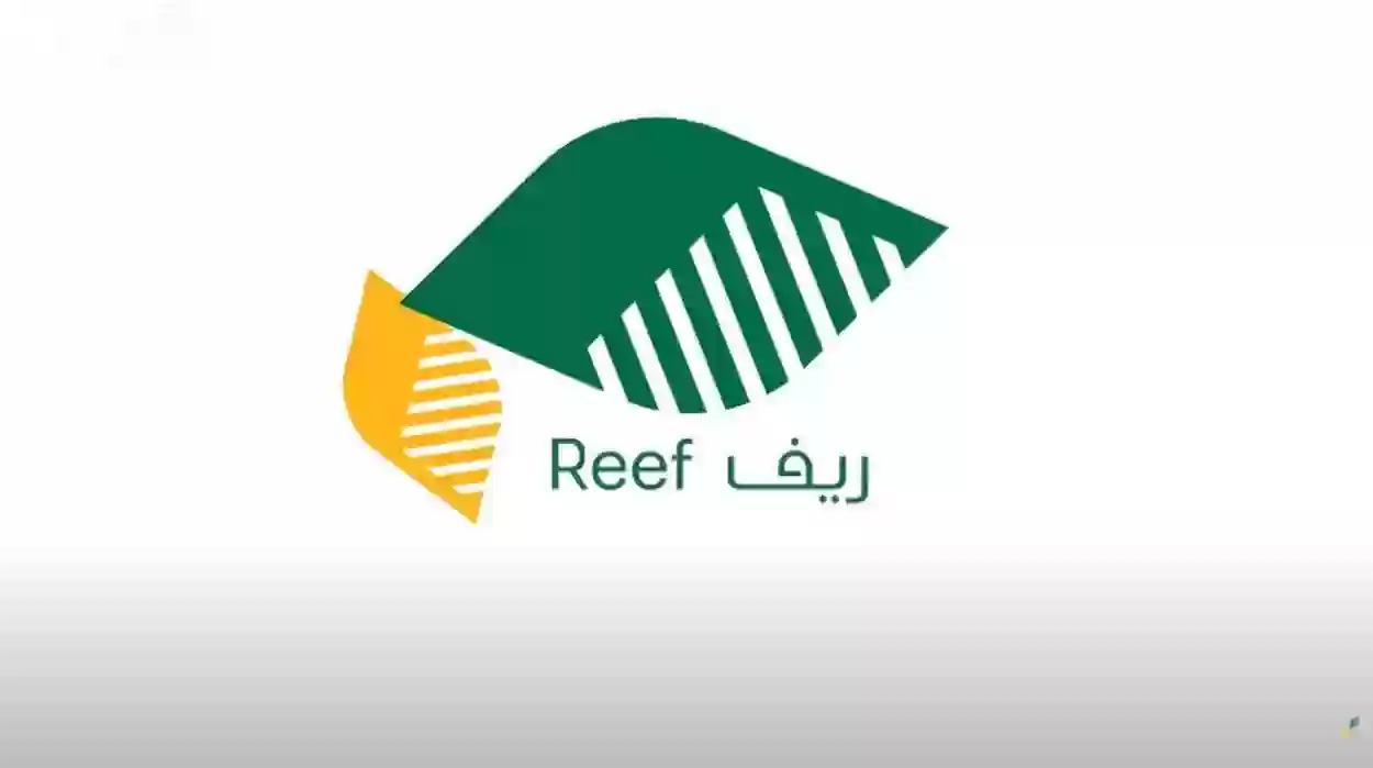 “متى الإيداع”.. موعد صرف دعم ريف يناير 2026 وخطوات الاستعلام reef.gov.sa