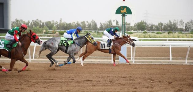 شروط وخطوات التقديم.. 34 وظيفة شاغرة بنادي سباقات الخيل 1 الرياض | 34 وظيفة شاغرة بنادي سباقات الخيل والتقديم من هنا