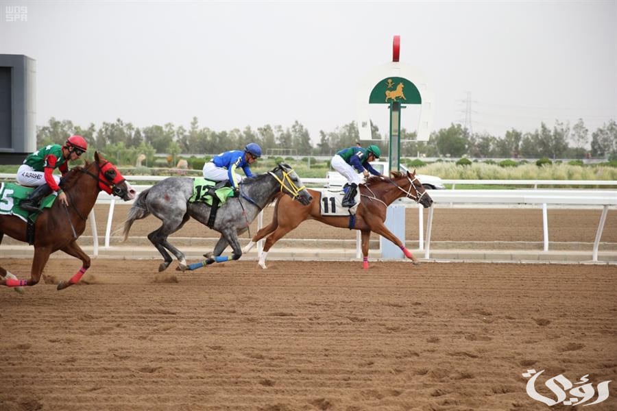 شروط وخطوات التقديم.. 34 وظيفة شاغرة بنادي سباقات الخيل