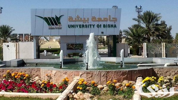 “جامعة بيشة” تعلن العديد من الوظائف الشاغرة برواتب مجزية في جميع المجالات