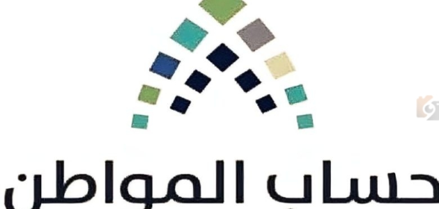 هل يجب الإفصاح عن العوائد المالية في حساب المواطن؟ 1 مركبة لا يوجد منها عوائد مالية.. هل يجب الإفصاح عنها في حساب المواطن؟!