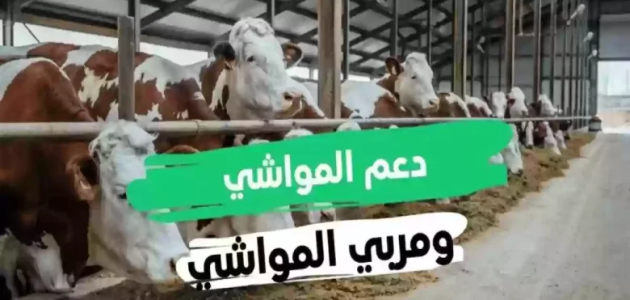 "وزارة البيئة والزراعة" تحدد موعد صرف دعم المواشي لشهر يناير 2026 1 موعد صرف دعم المواشي لشهر يناير 1446 بتوضيح من وزارة البيئة والزراعة