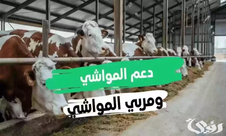 “وزارة البيئة والزراعة” تحدد موعد صرف دعم المواشي لشهر يناير 2026