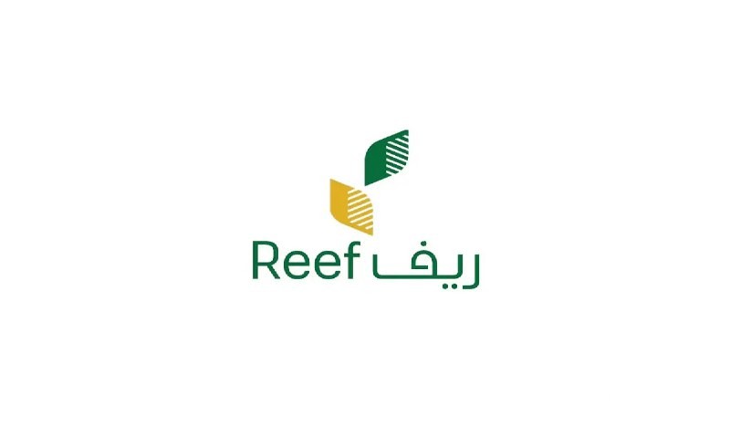 الوزارة توضح.. موعد صرف دعم ريف لدفعة قبل نهاية عام 2026