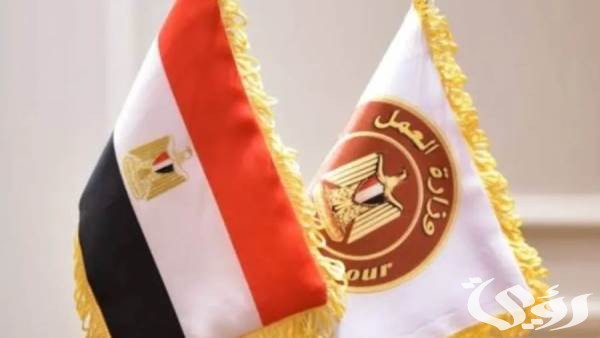 “وزارة العمل المصرية” تعلن توفير فرص عمل للشباب في الخارج براتب 9000 ريال سعودي