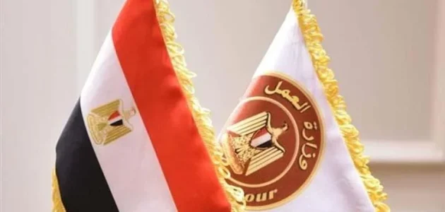 "إجراءات جديدة" | وزارة العمل تعلن عن وظائف شاغرة براتب يصل إلى 8000 جنيه وتوضح الشروط 1 رسمياً.. وزارة العمل تعلن عن وظائف شاغرة براتب يصل إلى 8000 جنيه وتوضح الشروط
