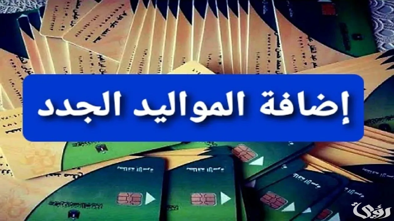 “إجراءات سريعة” | تعرف على الشروط والأوراق المطلوبة لإضافة المواليد على بطاقة التموين 2026