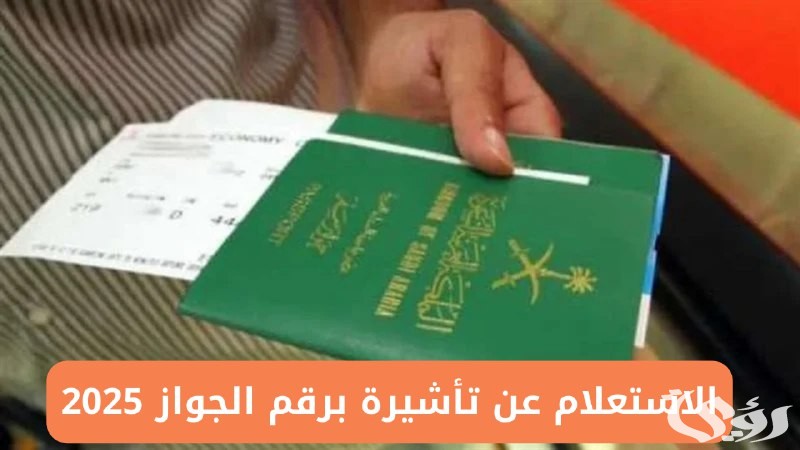 “إجراءات مباشرة” | خطوات الاستعلام عن تأشيرة السعودية برقم الجواز 2026 عبر visa.mofa.gov.sa
