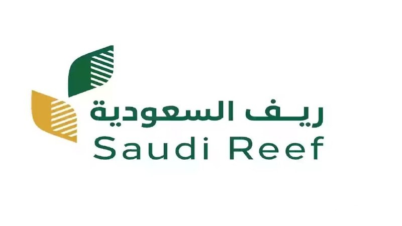 دعم ريف 2026: كيفية الاستعلام عن الدفعة الجديدة والتسجيل عبر reef.gov.sa!