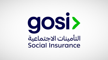 12.4 مليون مشترك في التأمينات الاجتماعية بالربع الرابع من 2024: 95% منهم في القطاع الخاص