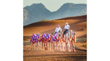 استكشاف تراثنا العريق: رحلة عبر الزمن تعيد إحياء الثقافة العربية