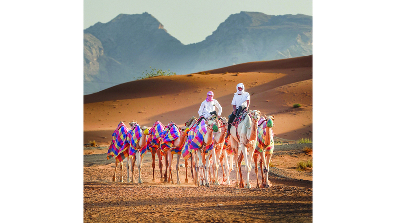 استكشاف تراثنا العريق: رحلة عبر الزمن تعيد إحياء الثقافة العربية 5 استكشاف تراثنا العريق: رحلة عبر الزمن تعيد إحياء الثقافة العربية