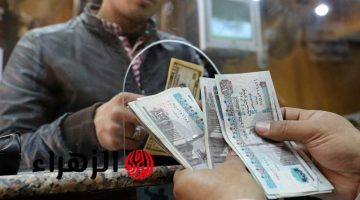 الرئيس السيسي يعلن عن زيادة 1000 جنيه في مرتبات الموظفين: تفاصيل القرار الجديد وتأثيره على الفئات المستفيدة