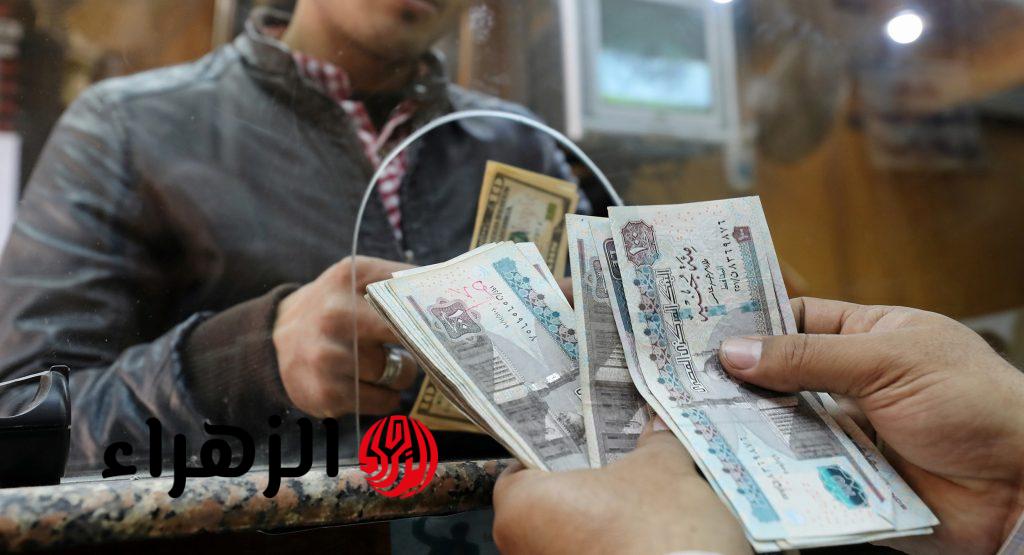 الرئيس السيسي يعلن عن زيادة 1000 جنيه في مرتبات الموظفين: تفاصيل القرار الجديد وتأثيره على الفئات المستفيدة 5 الرئيس السيسي يعلن عن زيادة 1000 جنيه في مرتبات الموظفين: تفاصيل القرار الجديد وتأثيره على الفئات المستفيدة