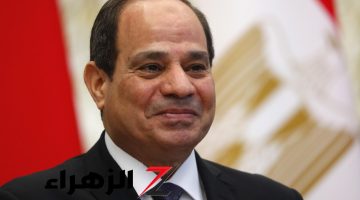 الرئيس السيسي يوافق على قرار عاجل يحدد ملامح انتخابات مجلس النواب 2025: كل ما تحتاج معرفته!