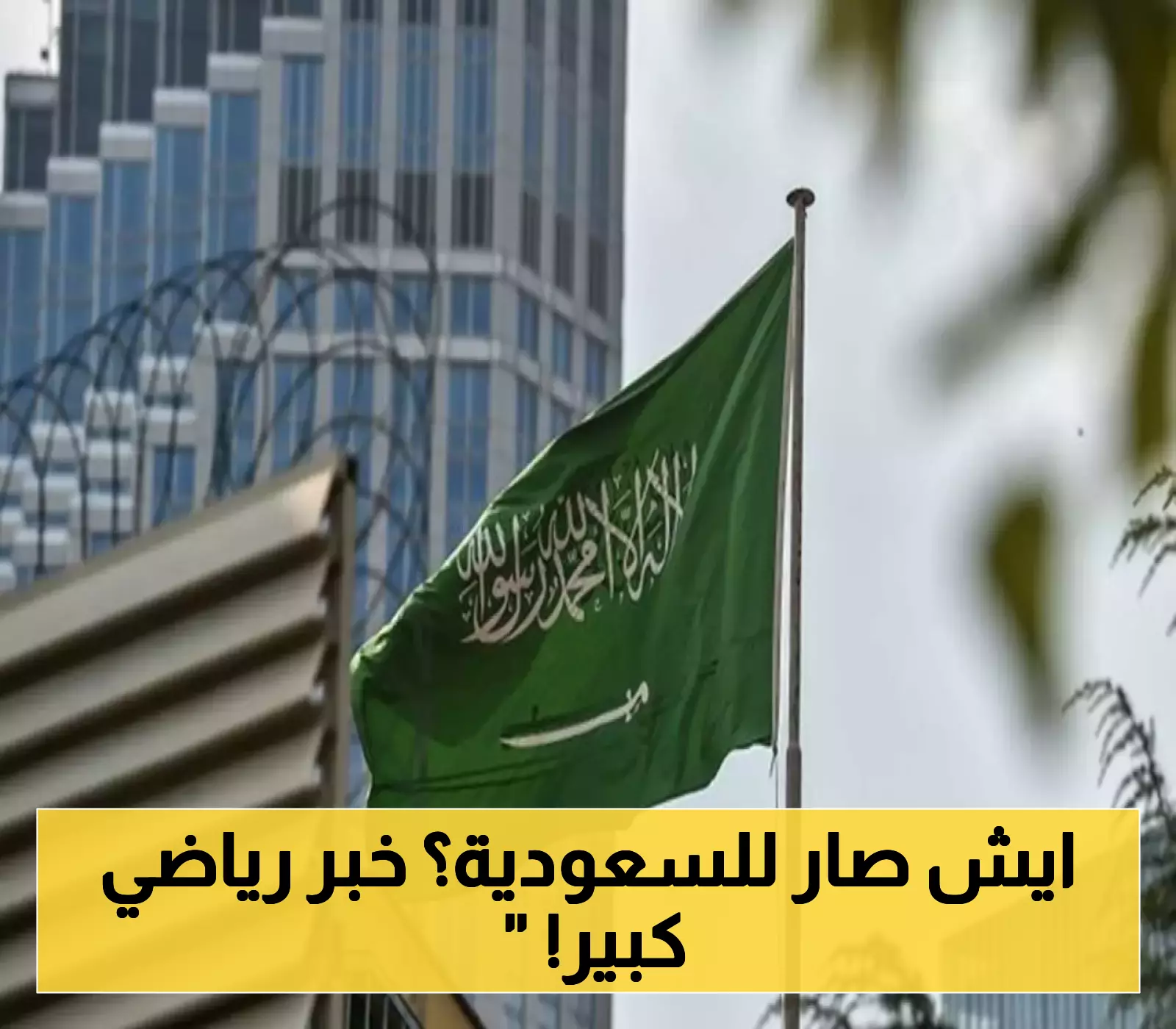 <p><strong>السعودية تتنافس مع 3 دول أخرى لاستضافة الملحق: موعد القرعة المرتقبة في 17 يوليو</strong></p> 1 السعودية تتنافس مع 3 دول أخرى لاستضافة الملحق: موعد القرعة المرتقبة في 17 يوليو