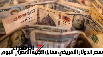 انخفاض تاريخي في سعر الدولار أمام الجنيه: تعرف على الأسعار الجديدة داخل البنوك!