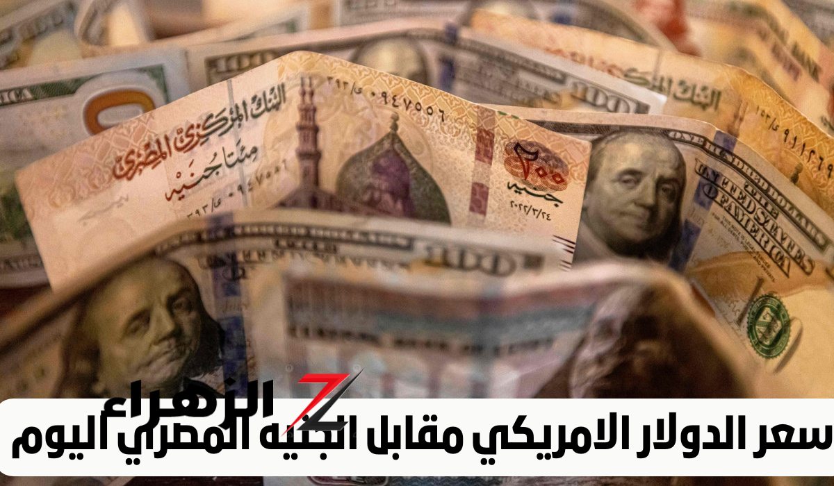 انخفاض تاريخي في سعر الدولار أمام الجنيه: تعرف على الأسعار الجديدة داخل البنوك! 5 انخفاض تاريخي في سعر الدولار أمام الجنيه: تعرف على الأسعار الجديدة داخل البنوك!