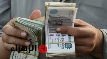 قرار تاريخي: الحكومة تُعلن عن تجهيز المحفظة لأصحاب المعاشات – تفاصيل موعد التنفيذ!