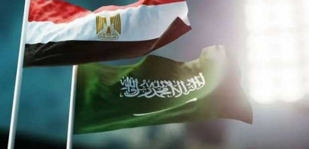 إيمان زهران تؤكد أهمية الشراكة المصرية السعودية في تعزيز استقرار المنطقة 1 إيمان زهران تؤكد أهمية الشراكة المصرية السعودية في تعزيز استقرار المنطقة