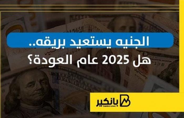 الجنيه المصري يستعيد عافيته: هل ستكون 2025 نقطة انطلاق جديدة للاقتصاد؟