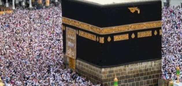 السعودية تستقبل أكثر من 5 ملايين زائر للروضة الشريفة خلال موسم حج 1446هـ 1 السعودية تستقبل أكثر من 5 ملايين زائر للروضة الشريفة خلال موسم حج 1446هـ