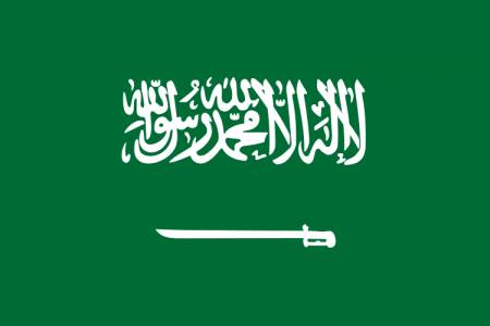المملكة تؤكد دعمها لبيان الشركاء الدوليين لإنهاء النزاع في قطاع غزة 1 المملكة تؤكد دعمها لبيان الشركاء الدوليين لإنهاء النزاع في قطاع غزة