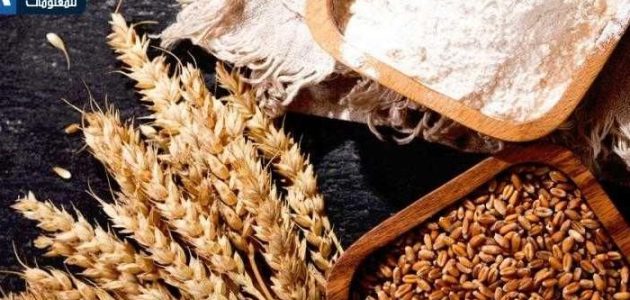 <p><strong>حصري: شرطة التموين تحبط محاولة تهريب 7 أطنان من الدقيق المدعم في عملية نوعية!</strong></p> 1 حصري: شرطة التموين تحبط محاولة تهريب 7 أطنان من الدقيق المدعم في عملية نوعية!