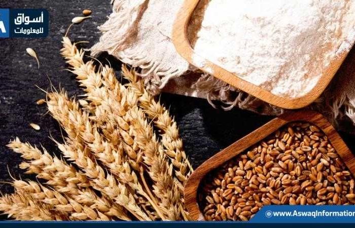 حصري: شرطة التموين تحبط محاولة تهريب 7 أطنان من الدقيق المدعم في عملية نوعية!