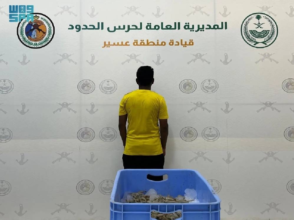عسير: القبض على مقيم يخالف لوائح الأمن والسلامة في الأنشطة البحرية! تفاصيل حصرية