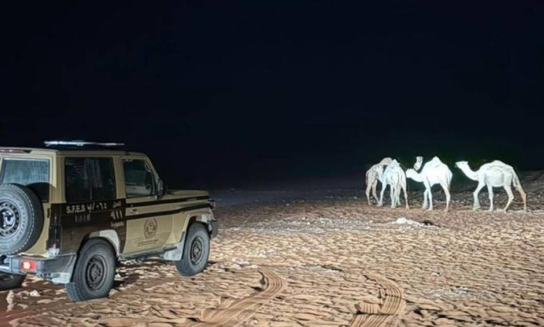 الأمن البيئي في السعودية يعتقل مواطناً بتهمة الرعي في مناطق محظورة 1 الأمن البيئي في السعودية يعتقل مواطناً بتهمة الرعي في مناطق محظورة