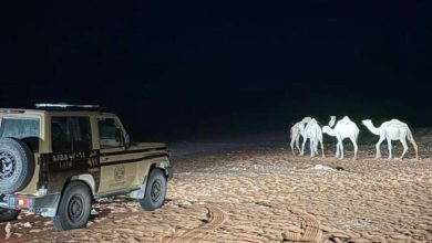 الأمن البيئي في السعودية يعتقل مواطناً لمخالفته قوانين الرعي في مناطق محظورة