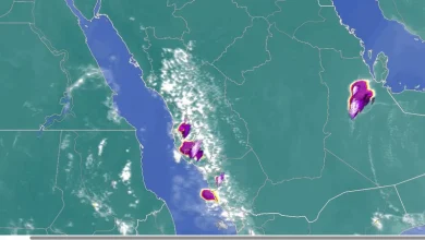 السعودية تشهد سحبًا رعدية وأمطارًا غزيرة في عدة مناطق وفقًا لتحديثات طقس العرب