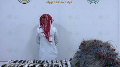 تبوك تلاحق المخالفين: ضبط شخص ينتهك لائحة الأمن والسلامة في الأنشطة البحرية