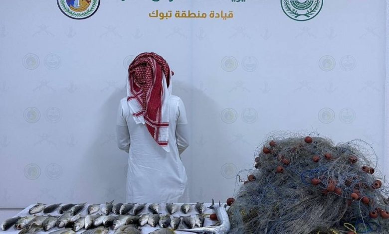 تبوك تلاحق المخالفين: ضبط شخص ينتهك لائحة الأمن والسلامة في الأنشطة البحرية
