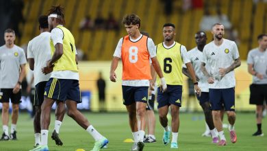 حارس مرمى جديد ينضم لتدريبات فريق النصر السعودي استعدادًا للموسم الجديد